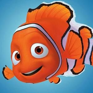 Meet your Posher, Stephen